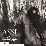 مجرد كلام