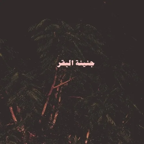 أكي