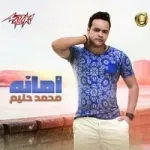 قلت حبيبى