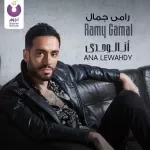 فاهماني