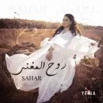 درب السلامة