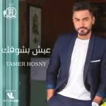 قابلتيني