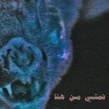 بيبي